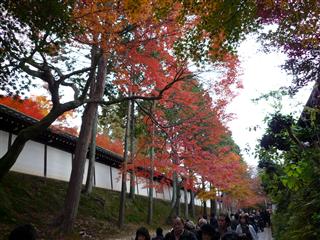東福寺