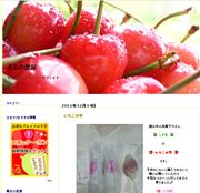 こんなブログができました!(^^)!