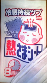 昨夜はこれで
