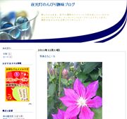 こんなブログができました!(^^)!