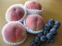 旬の好物 2010/08/19 16:11:04