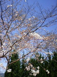 お気に入り 2009/03/24 15:14:46