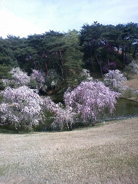 気が小さくてごめんねぇ 2009/04/15 16:37:43