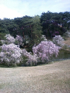 気が小さくてごめんねぇ