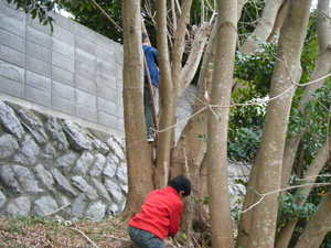 基地作り