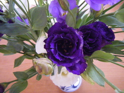 花の写真