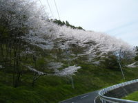 掛川まで