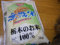 米