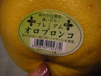 オロブロンコ