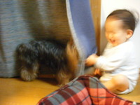 いないいないばあ