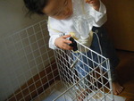 気になる