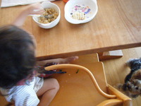 お食事風景 2009/07/16 15:29:59