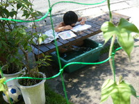 暑い日の勉強の仕方 2009/07/23 23:07:55