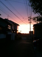 きれいな夕焼け 2010/05/07 19:44:28