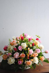 結婚記念日へ 2010/01/30 23:49:47