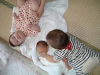 衝撃的瞬間 2009/07/23 01:39:13