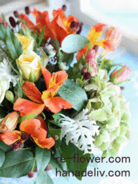 9月の花壁紙＆待受画像 2009/09/04 00:15:07