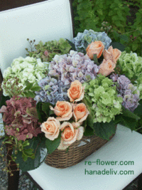 8月の花壁紙＆待受画像 2009/08/04 16:09:58