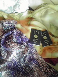 旅行へ 2010/02/24 12:19:35