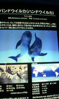 着いたo(^o^)o 2010/11/10 14:00:22