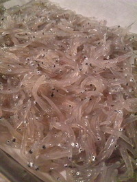 お初(^0^)/ 2011/06/03 14:33:08
