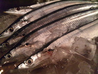来ました！！ 2012/07/20 13:19:35
