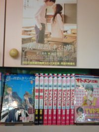人気コミックス(少女マンガ編) 2009/08/22 12:27:53