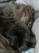 すみませんでしたぁ～～！