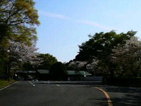 昼間のつま恋