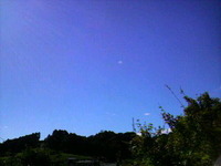 台風一過の青空です！ 2011/09/22 10:53:00