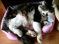 きゅ〜うくつ( 窮屈)そうですね。 2011/09/27 10:41:47
