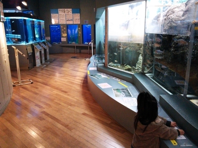 娘と水族館？デート