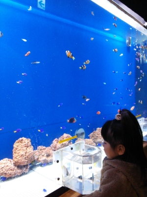 娘と水族館？デート
