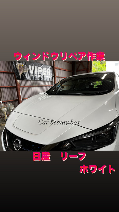 2台のリーフ