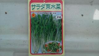 芽が出ませぬ・・・。