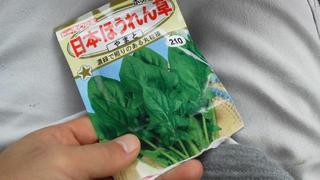久々種まき。