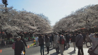 ヒュルリ～ラ。