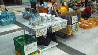 家康くん参上。