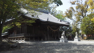 神社の竹を。