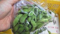 ひまわり出荷。