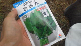 トゲトゲ。
