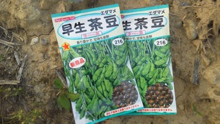 ご紹介遅れました。