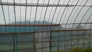 台風対策2014partⅡ