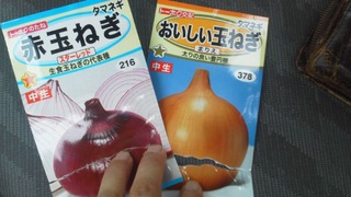 苗作り。