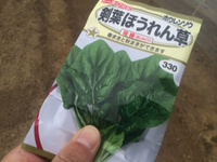 苦手品目。