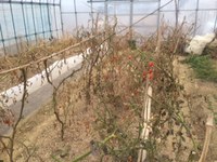 わかってたんだなぁ。 2015/02/18 17:28:01