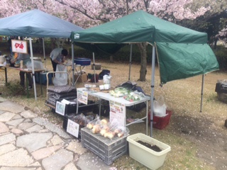 えんの市