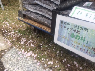 えんの市