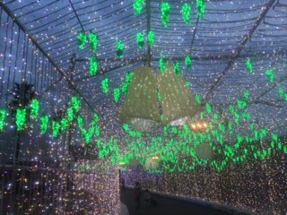 久しぶりの休暇。