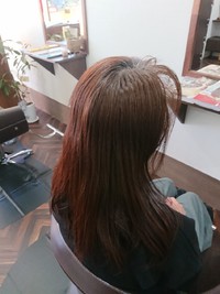 ￥４９００　スーパートリートメント付き 2019/01/15 06:22:05